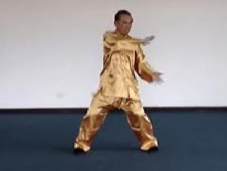 &rdquo;Taijiquan