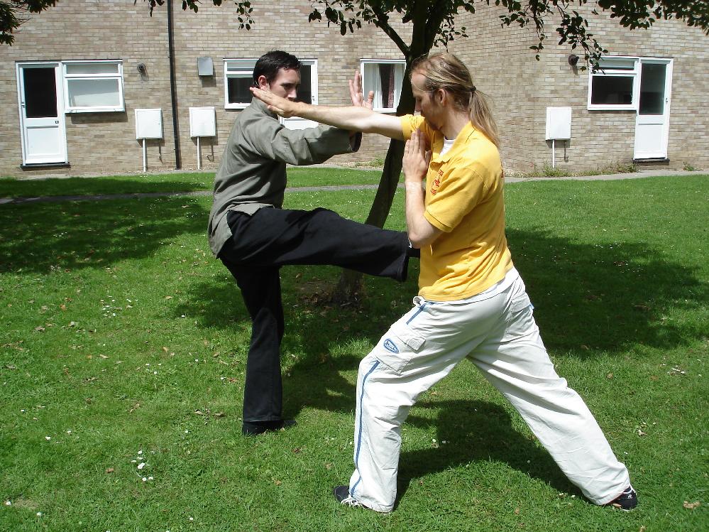 Cross-Hand Thrust Kick