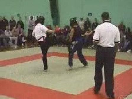 &rdquo;Taijiquan