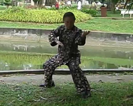 Shaolin Chin-Na