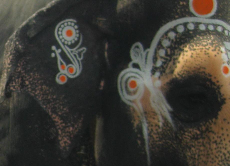 &ldquo;Glimpses