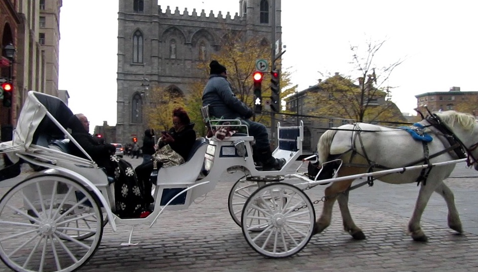Horse Cart and Catherdral