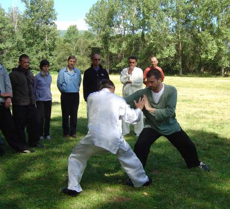 Taijiquan Pushing Hands