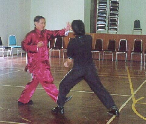 Kungfu Sparring