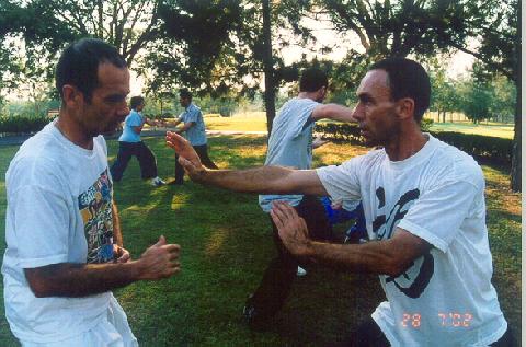 Qi Flow in Taijiquan