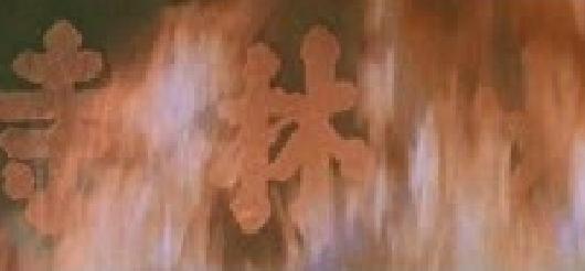 Burning of Shaolin Temple