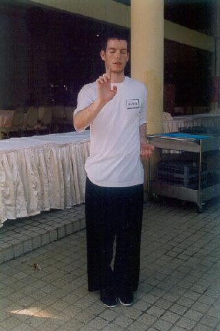 Shaolin Wahnam Kungfu, Chikung, or Taijiquan Image