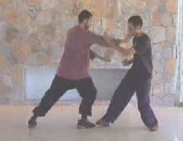 Taijiquan sparring