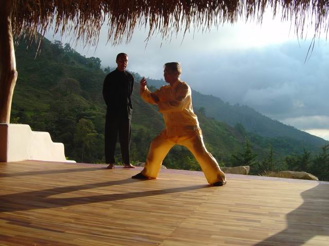 Taijiquan