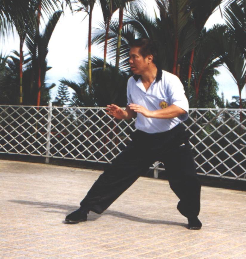 Shaolin Wahnam Kungfu, Chikung, or Taijiquan Image