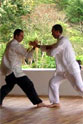 Taijiquan combat application