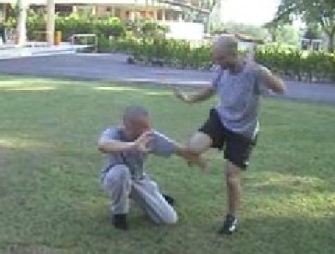 Combat Application of Shaolin Kung Fu