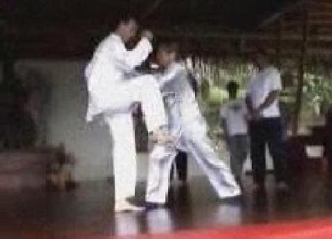 Wahnam Taijiquan