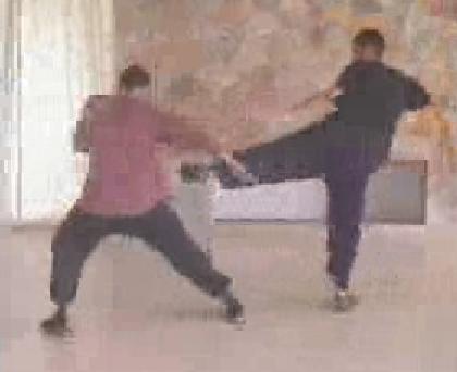 Taijiquan combat sequence