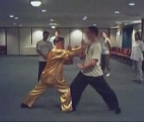 What is genuine, traditional Taijiquan