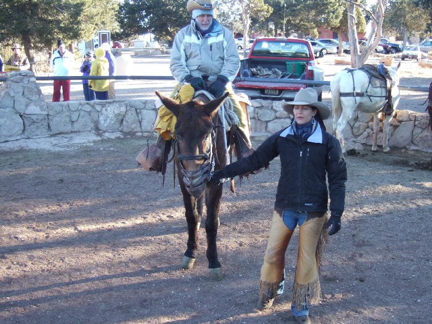 &ldquo;Mule