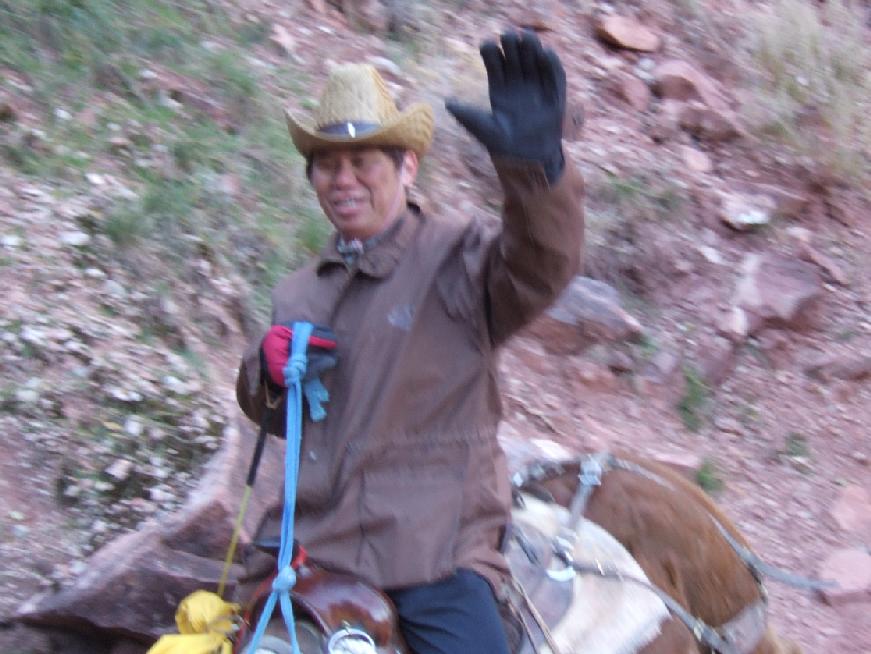 &ldquo;Mule