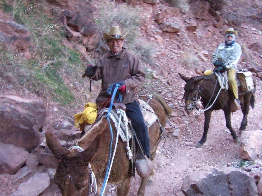 &ldquo;Mule