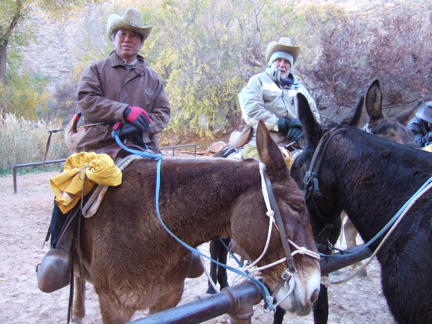 &ldquo;Mule