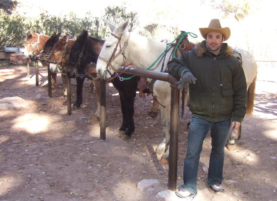 &ldquo;Mule