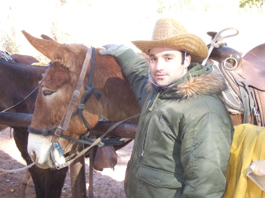 &ldquo;Mule