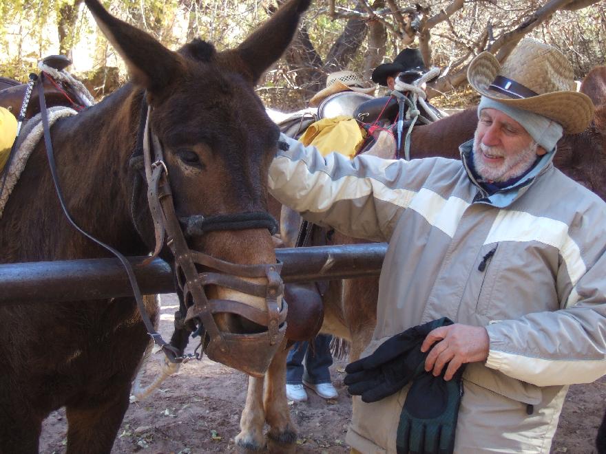 &ldquo;Mule