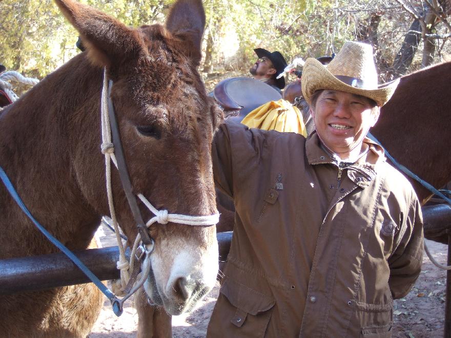 &ldquo;Mule