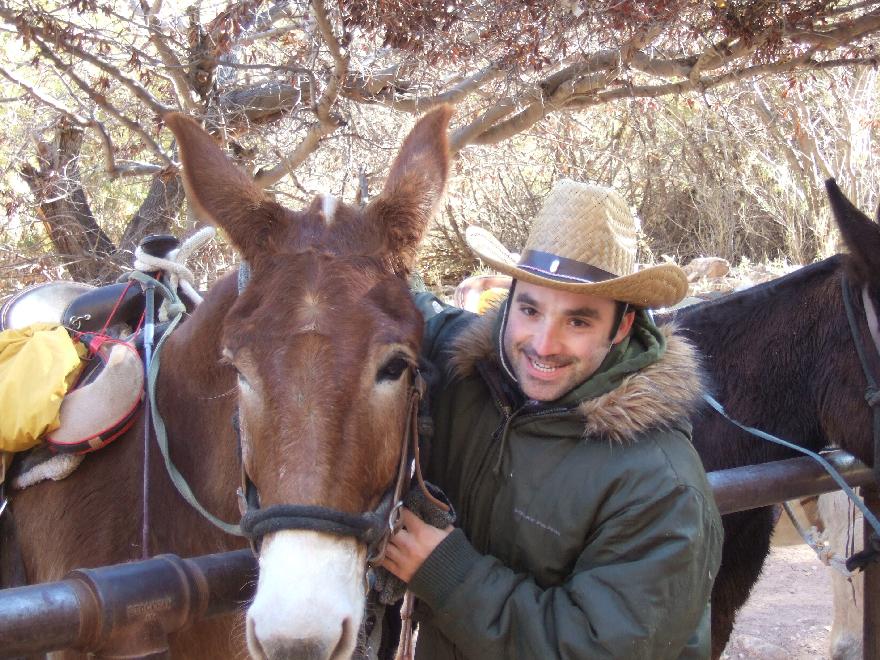 &ldquo;Mule