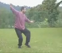Taijiquan