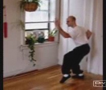 &rdquo;Taijiquan