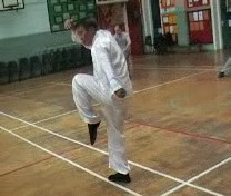 Shaolin Monkey Set