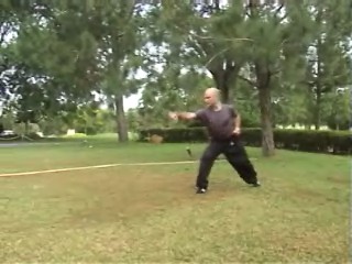 Fierce Tiger Speeds through Valley