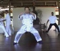 Basic Wahnam Taijiquan Training