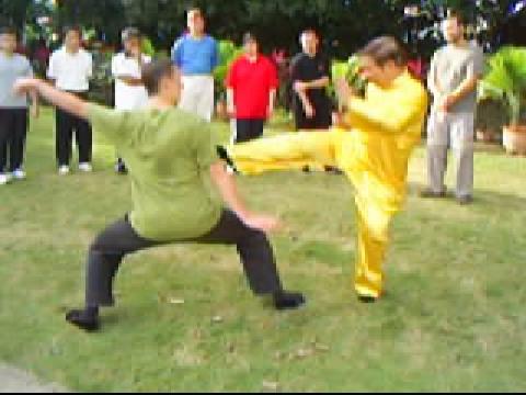 Wahnam Taijiquan