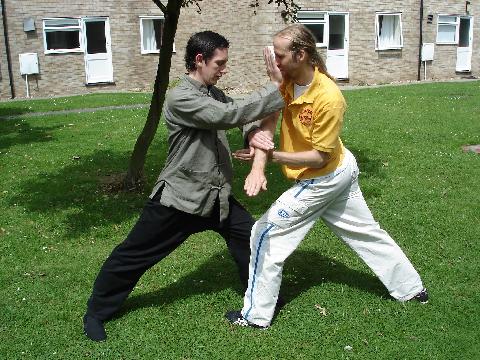 Wahnam Taijiquan