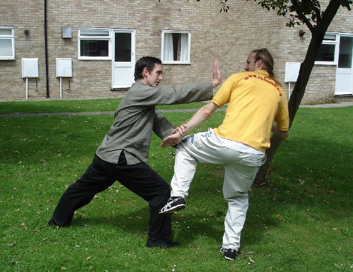 Taijiquan