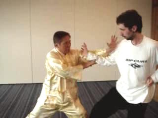 kung fu sparring