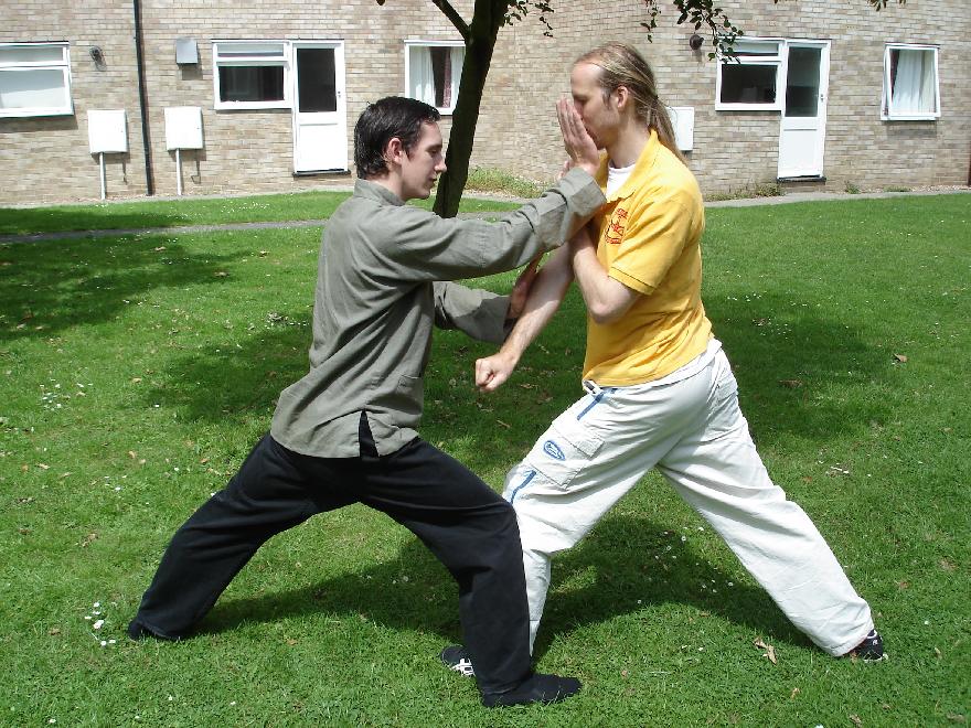 Wahnam Taijiquan