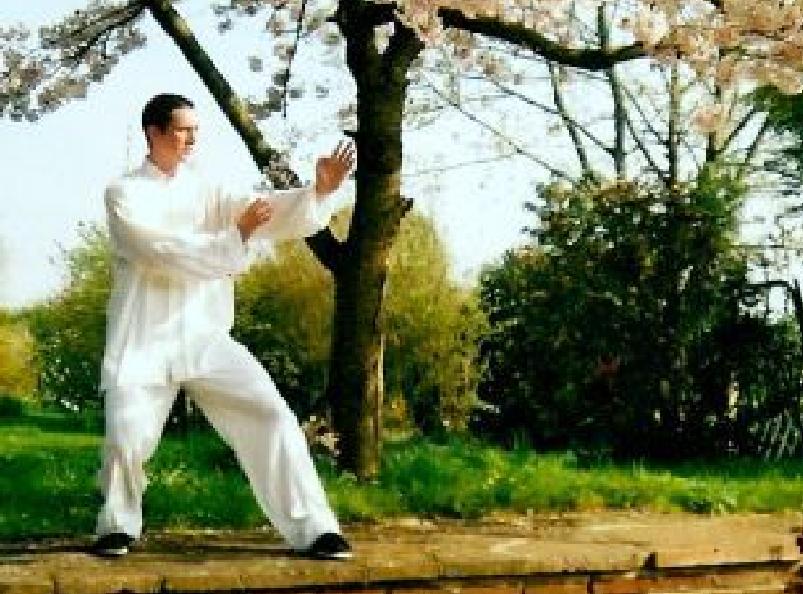 Wahnam Taijiquan