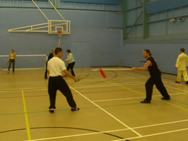 Butterfly Knives against Spear