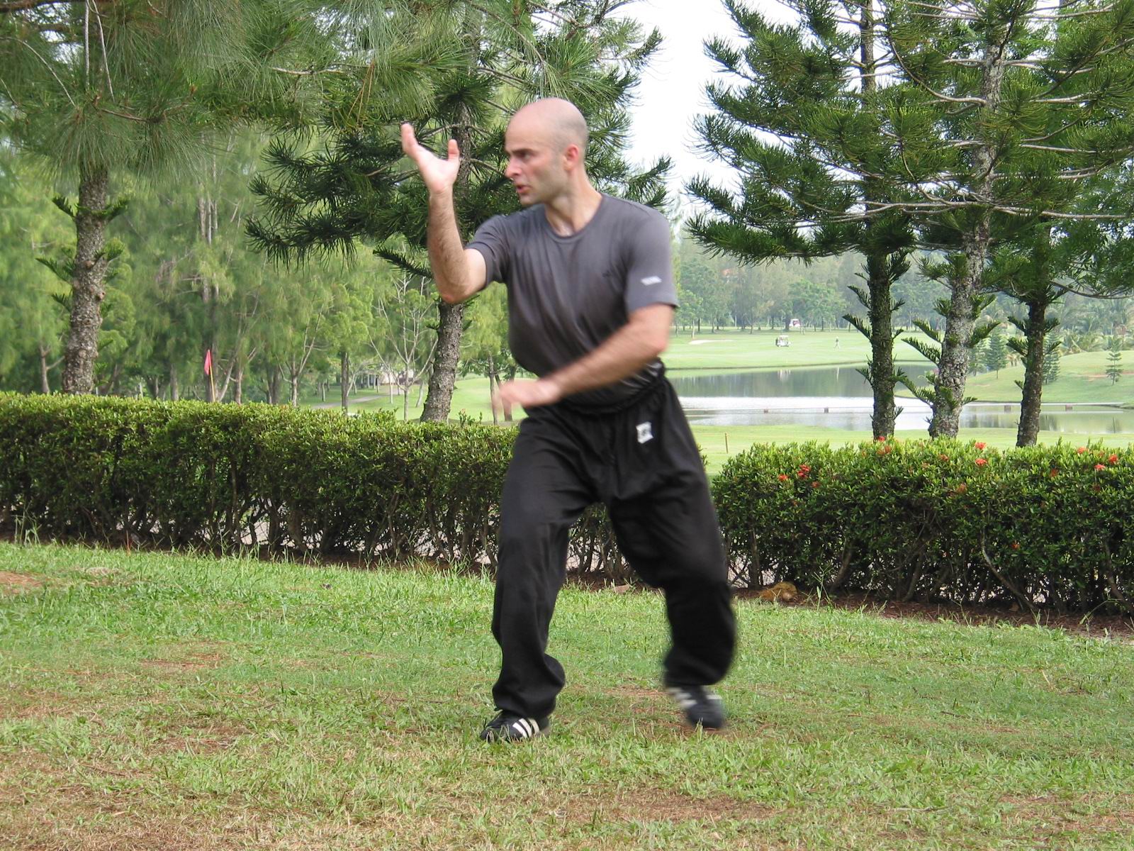 s kungfu set a day