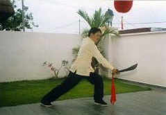 kungfu sabre