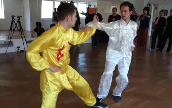kungfu combat