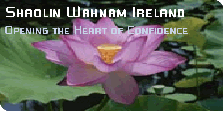 Heart of Confidence