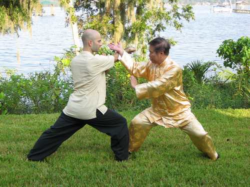 shaolin kung fu. Shaolin Kung Fu