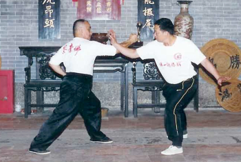 Chio-Li-Fatt Kungfu