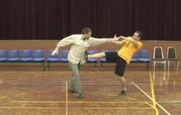 Wudang Taijiquan