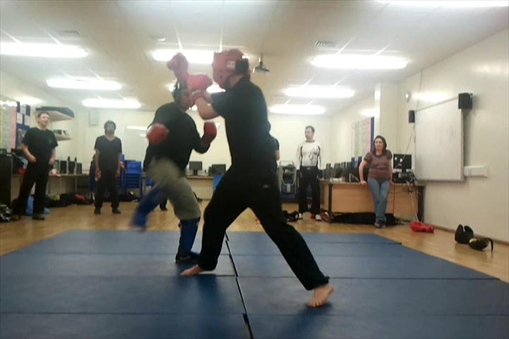 free sparring