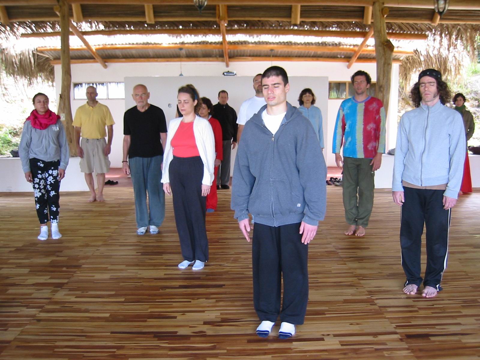 Standing Meditation in Zen Cultivation