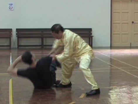 Shaolin Felling Technique